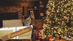 Распаковка, или во всем виновата «Черная пятница». 7 книг МИФа: от нонфика до комикса