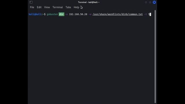 2.1.2. Directory Brute Force With Gobuster