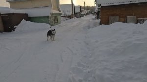 Сбылась мечта Абдугани. На даче чистим снег.