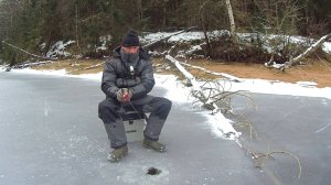 ТАКОГО Я НЕ ОЖИДАЛ. ОКУНЬ В КОМАТОЗЕ. Рыбалка с ПОДВОДНОЙ КАМЕРОЙ.