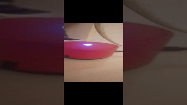 1000002223.mp4