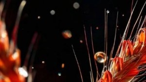 Реальные истории любви из жизни - Горькая правда любви...