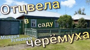 Отцвела в саду черёмуха - Поёт Михаил Устенко