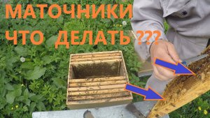 ОПОЗДАЛ с расширением, получи РОЕНИЕ.