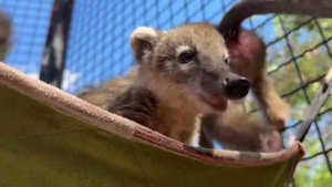 26 августа 2024 г.