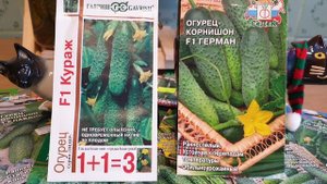 Хватит - "Напробовалась". Огурцы только проверенные, 100% урожайные сорта.
