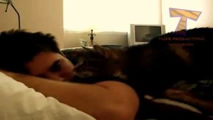 Кошки будят своих владельцев.