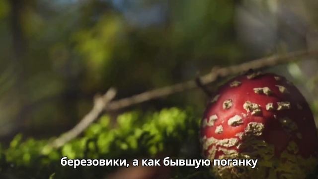 притчи о жизни со смыслом простые истины лучшие цитаты и притчи о жизни смотреть онлайн