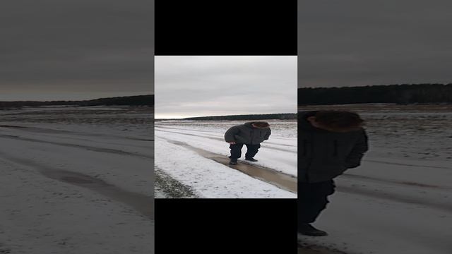 Прикольно погулять на свежем воздухе в Подмосковье в Клязьминской пойме