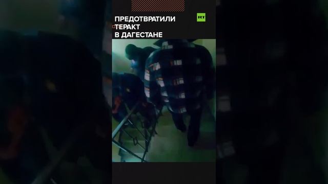 ФСБ задержала в Дагестане 12 членов террористической ячейки — видео