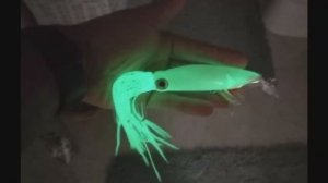 Копия - Yo-Zuri Hydro SQUIRT R834 (14 см/40 г) - Приманка Кальмар светится под водой - с Алиэкспресс