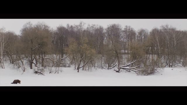 Coca Cola HighQuality смотреть онлайн