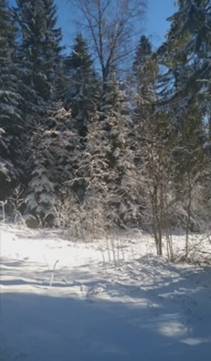 №62 Восстановление, очистка, гармонизация серебристой структуры