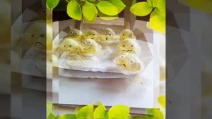 #маршболлы #маршмеллоу #пирожные