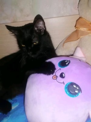 общение с лесей!! ☺️