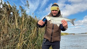 Жерех на крэнки осенью  купил крэнк в местном магазине  вообще не держит струю