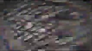 милые питомцы (эпизод 1) [найденная плёнка] neko.tv