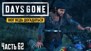 Прохождение Days Gone: Мог ведь догадаться - Часть 62