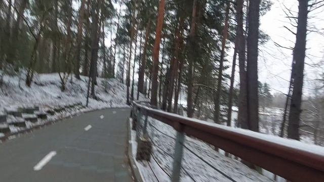 Сосновый Бор. Приморский парк.