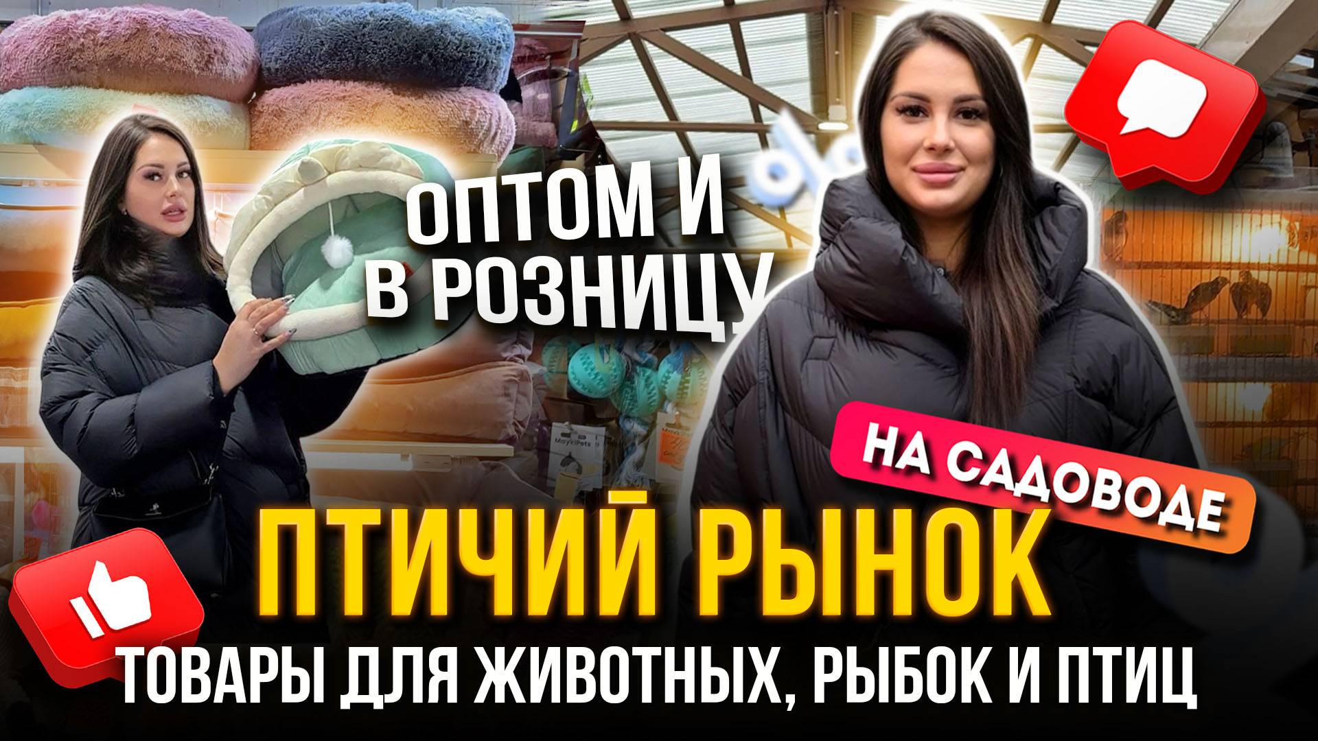 ПТИЧИЙ РЫНОК НА САДОВОДЕ✨ТОВАРЫ ДЛЯ ЖИВОТНЫХ, РЫБОК И ПТИЦ 🥰 Рынок Садовод Москва