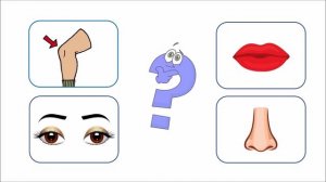 человек четвертый лишний