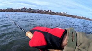 бойкая форелька-1