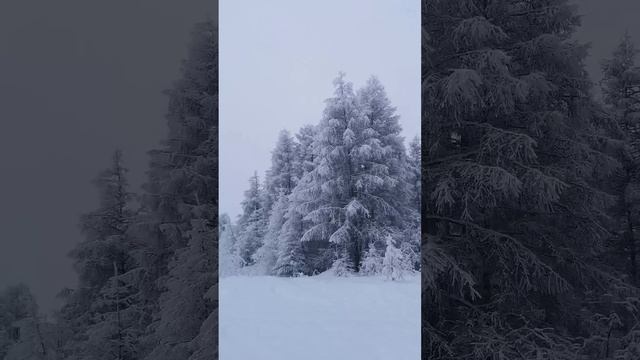 снежная#зима#колыма#ягоднинский#район