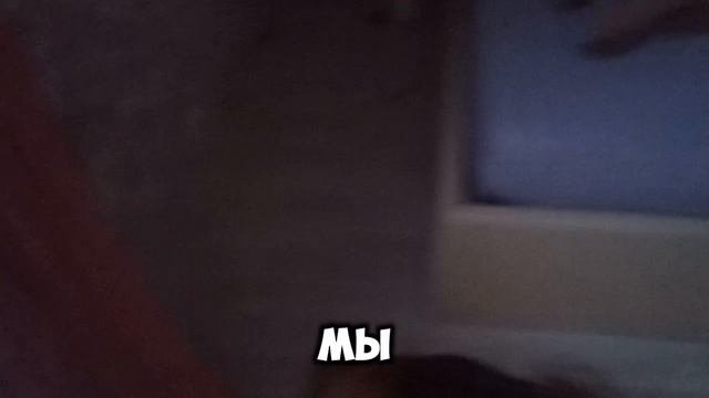 Вася