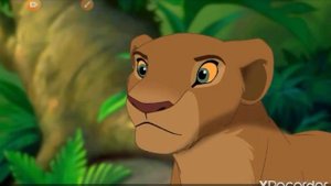 Кто вы из король лев по знаку зодиака?