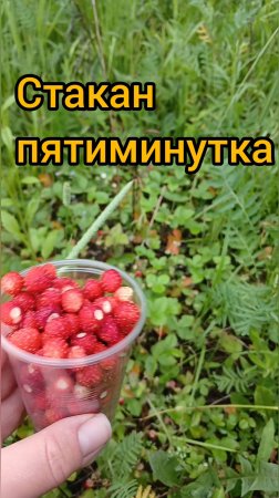 Ягодные воспоминания земляничного лета. Стакан земляники за 5 минут реальность!