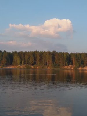 №45 Рассортировка энергий по божественному эталону