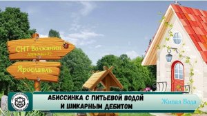 Абиссинская скважина Ярославль 💧// СНТ Волжанин 9