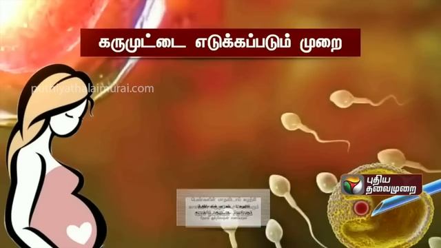 கருமுட்டை எடுக்கப்படும் முறை