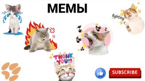 мемы с животными