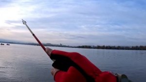 Форель 2.3кг на стекляшку