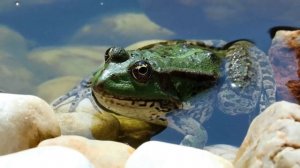 "Жить полной жизнью". 13 декабря. Мужество меняться.