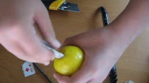 Обучение фокусу "уголок карты в лимоне"