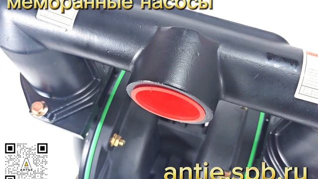 C 344