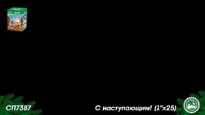 СП7387