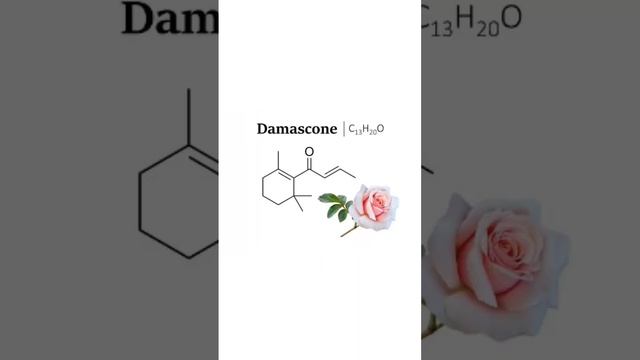 vk chemistry lab experiment || ...... смотреть онлайн