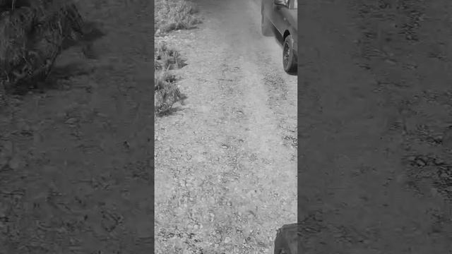 426 Откуда он взялся Farcry 5, Лучшее, Shorts смотреть онлайн