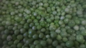 Заготовка консервированного зеленого горошка  в домашних условиях без стерилизации за 6 минут .