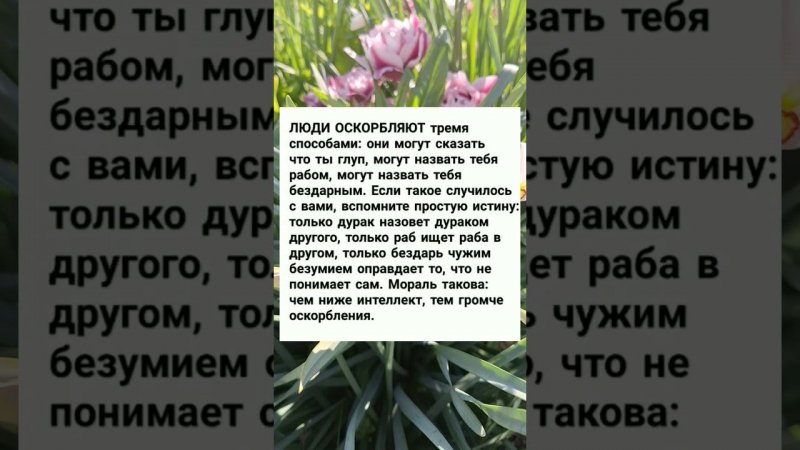 Люди оскорбляют тремя способами. #мариупольсегодня #музыка #мораль #истина