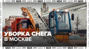 Коммунальные службы приступили к уборке снега в Москве - Москва 24