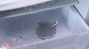 ПОЗНАВАТЕЛЬ ,ЖЕЕЙНЫЙ МЕДВЕДЬ ВАЛЕРА!