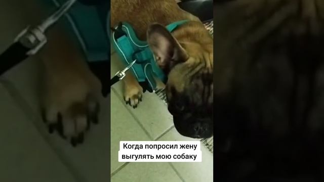 Когда за дело берется запасной хозяин