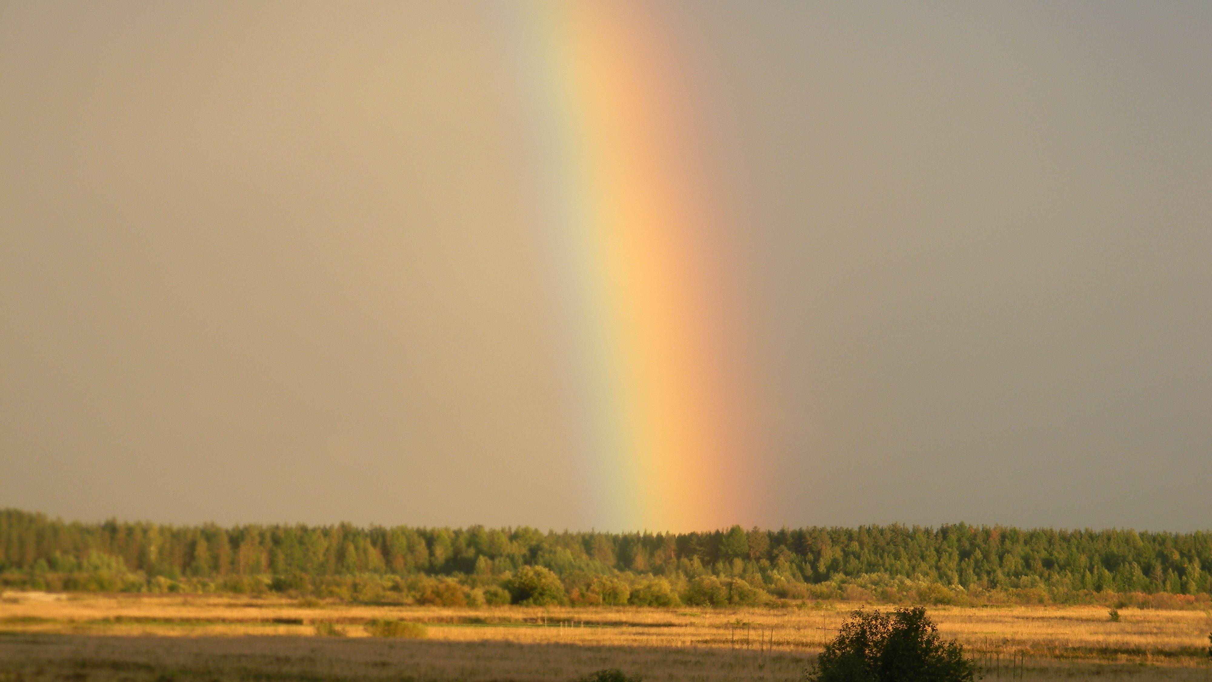 Мой край