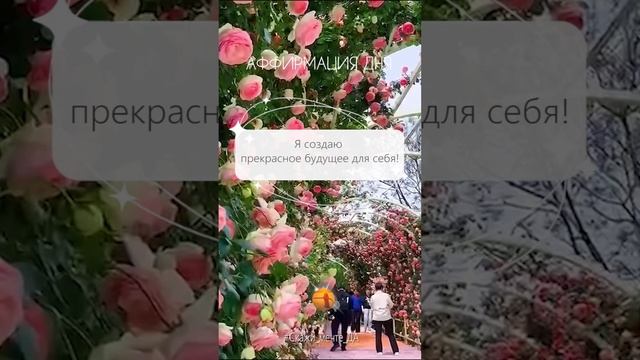 Аффирмация дня  #Скажи_мечте_ДА #СкажимечтеДА#мечта