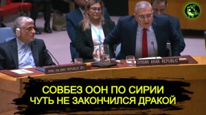 Совбез ООН по Сирии чуть ДРАКОЙ не закончился | Перепалка России, США, Сирии, Ирана в ООН