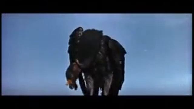 Old Turky Buzard смотреть онлайн